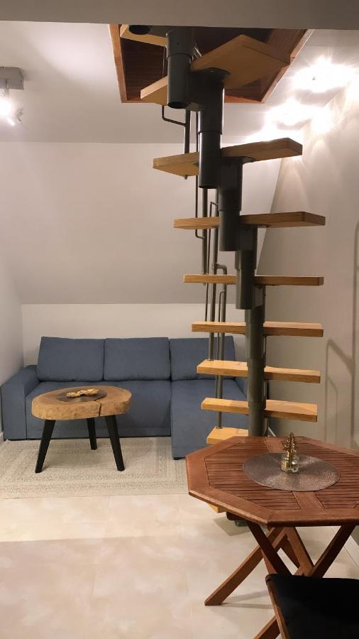Apartament Lisi Jar Ястшембя-Гура Экстерьер фото